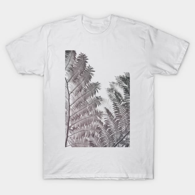 Fern T-Shirt by hraunphoto